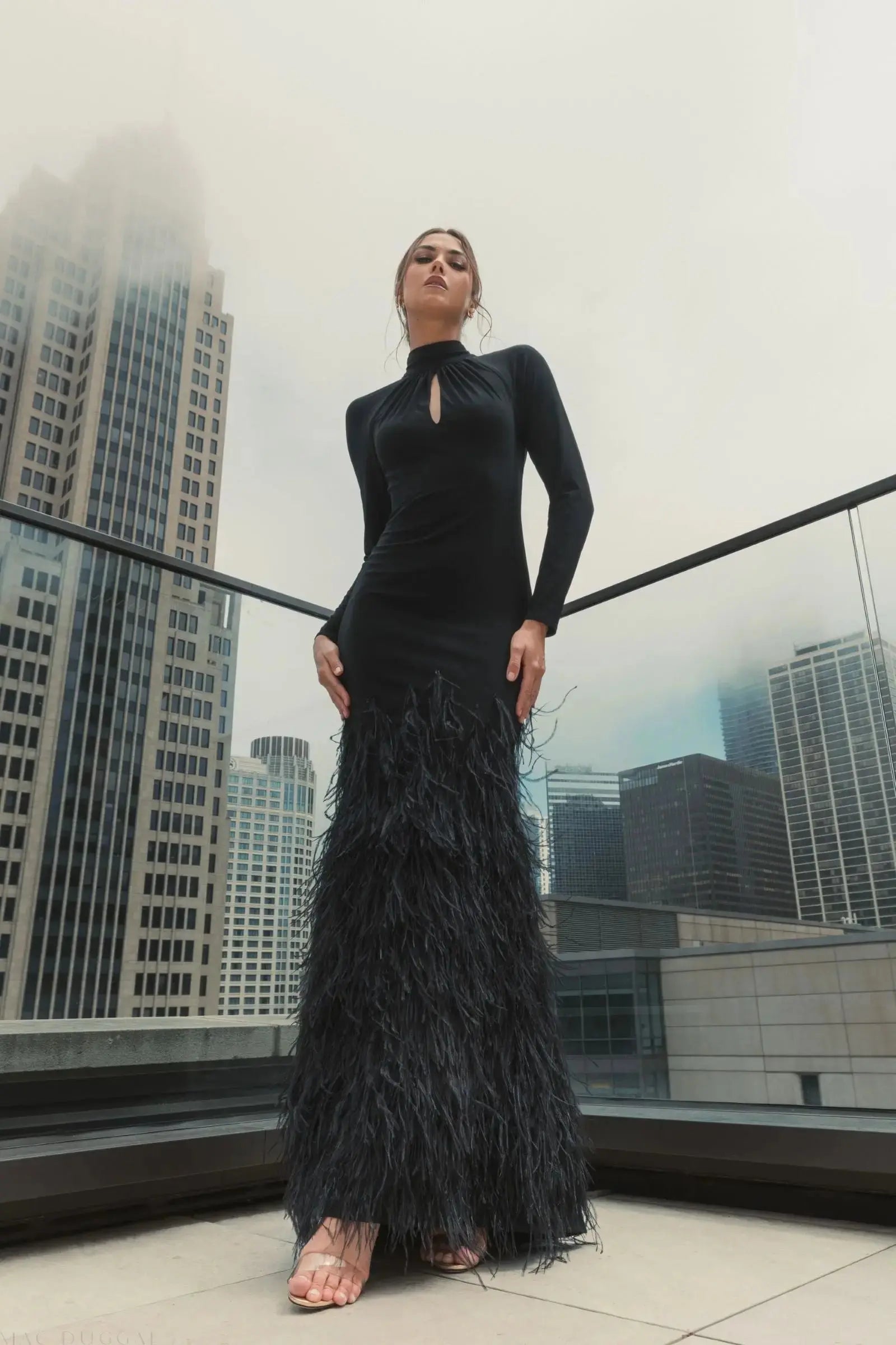 Black Long Sleeve High Neck Feather Trim Gown