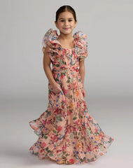 Chiffon Ruffle Shoulder Dress